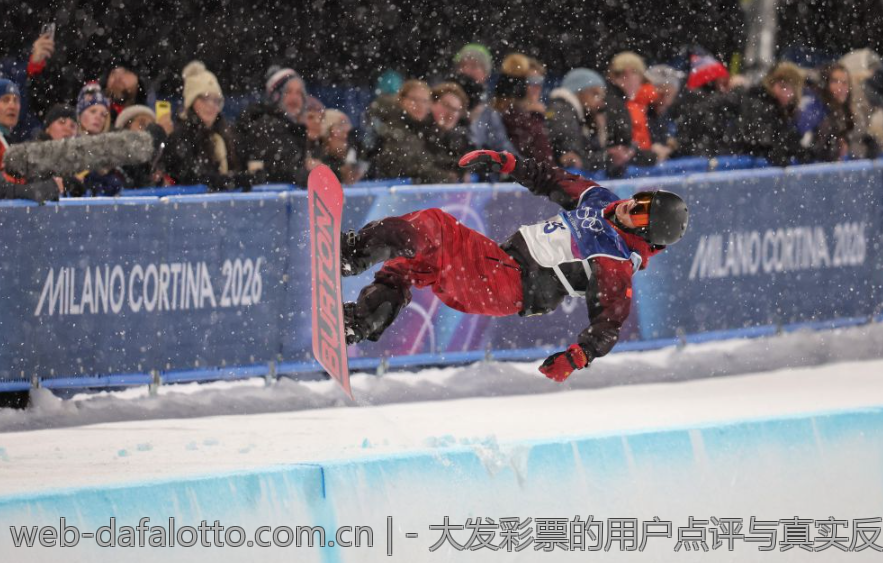 - 大发彩票的用户点评与真实反馈
